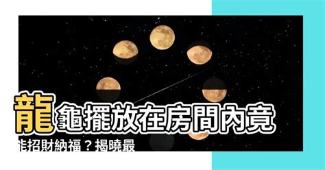 龍龜可以放房間嗎|龍龜可以放房間嗎？ 風水專家教你擺放臥室龍龜的秘訣